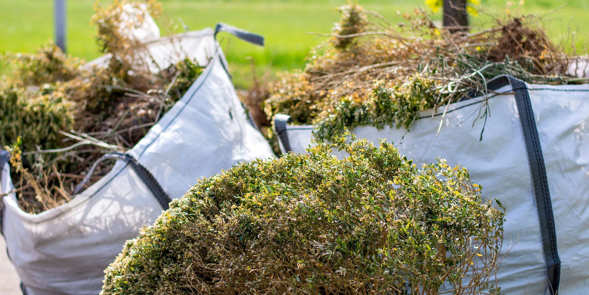 waste removal in Greater London